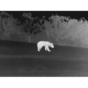 Manual Focus Handheld Thermal Imaging Infrared Trail Camera