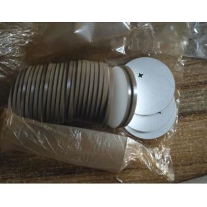 ODM And OEM P5 P8 Piezoelectric Ceramic Plate
