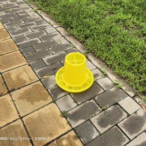 Cheap 2.7L Plastic Diy Chicken Feed Bucket Round Design for sale