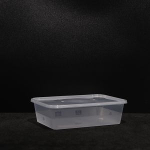 Suitable For Hot And Cold Food Disposable PP Lunch Box Packaging With Customized