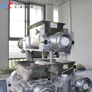 Multifunctional Fish Ball Machine 2000W Fishball Maker Encrusting