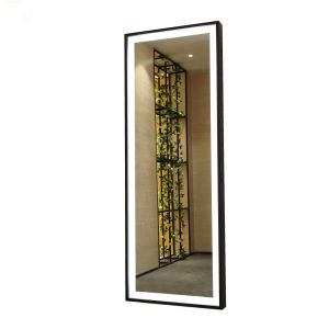 Decoration Illuminated Dressing Room Mirrors Wall Mounted Customized