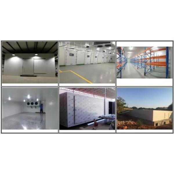 Meat Cold Modular Storage Room