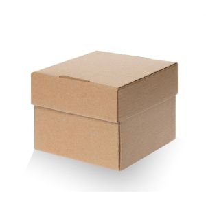 custom printing corrugated fruits packaging delivery boxes