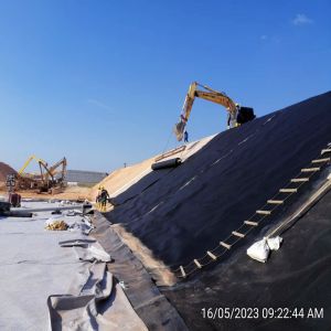 HDPE Geomembrane for Fish Shrimp Pond in Indonesia 1mm Thickness Durable