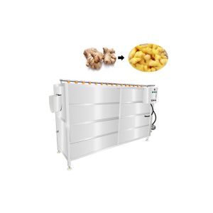 Brush Type Washer 2000kg/h Veg Peeling Machine For Carrots