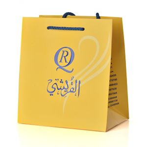 Garment Shopping Branded Paper Bags embossing Pantone Printing 190x120x210mm