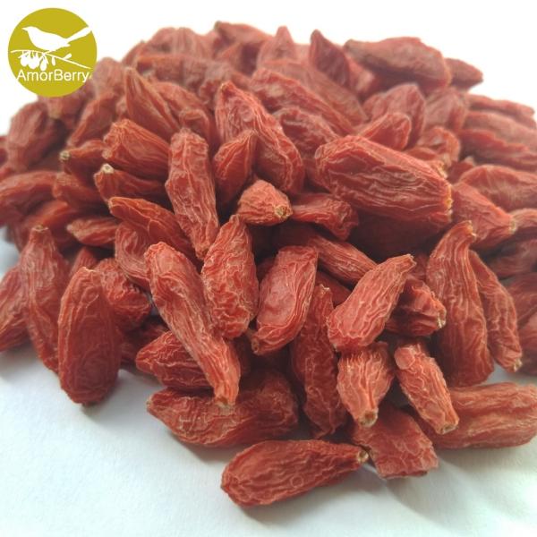 Quality Organic dried goji dried organic goji berry dried goji with new crop in new crop from China wholesale