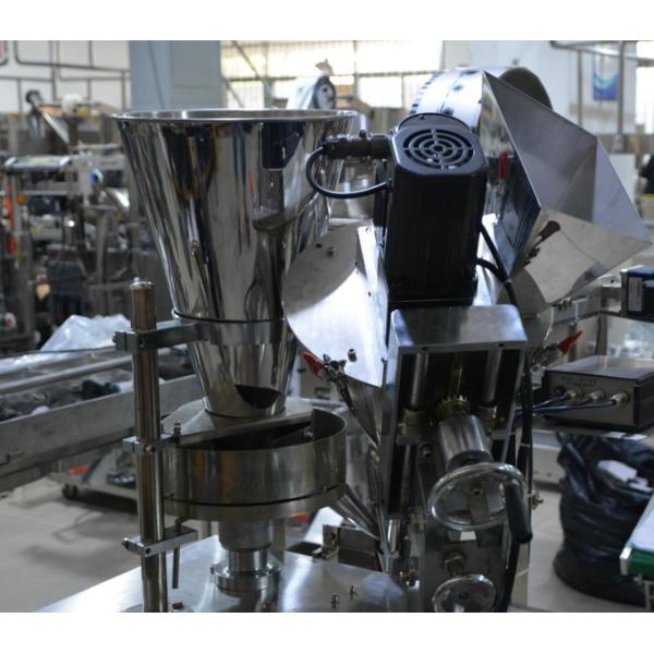 Double Powder Vertical Sachet Packaging Machine Spice Powder Pepper Salt Back Side Sealing