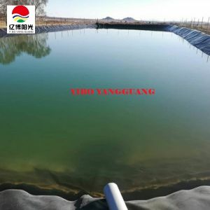 10m x 20m Welded Fish Pond Geomembrane Durable Geomembranes for Waterproof