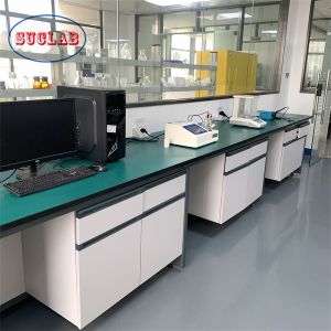 Heavy Duty Chemistry Lab Workbench With Storage In Silver High Durability