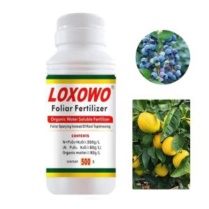 Fruit Melon Root Swollen Organic Water Soluble Vegetable Fertilizer Large