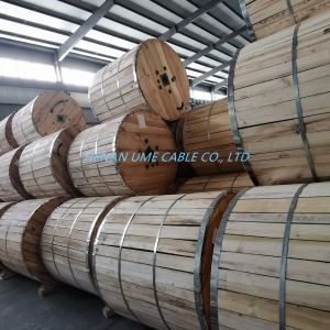 Insulated PVC Sheath Material 600V Xlp- Special Cable for Versatile Applications