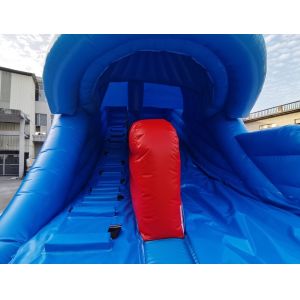 Commercial Inflatable Water Slides Whale Design Home Backyard