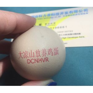 Micro Characters / Dot Matrix Egg Stamping Machine Single Row No Need To Clean