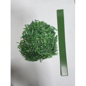 Siemens Motor PET Strap Extrusion Line for PET Raw Material or Recycled PET