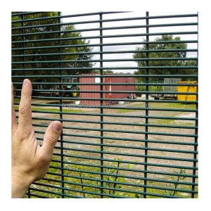 Galvanized PVC Coated Security Fence for Strong Protection of Residential