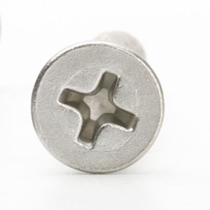 SS304 SS316 Stainless Steel Self Tapping SS Deck Screw