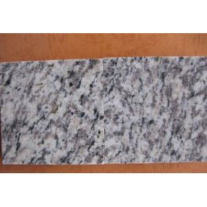 Perfect Price Granite Tile&Slab,Hot Produst &Top Quality Tiger White Granite