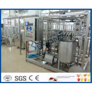 2000L Homogenized Dairy Processing Plant with Milk Processing Equipment