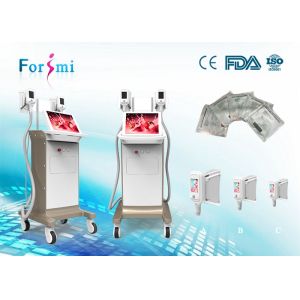 Cheap 2016 Say Goodbye To Fat l! Popular Cryo Lipolysis Fat Freeze Weight Loss Machine for sale
