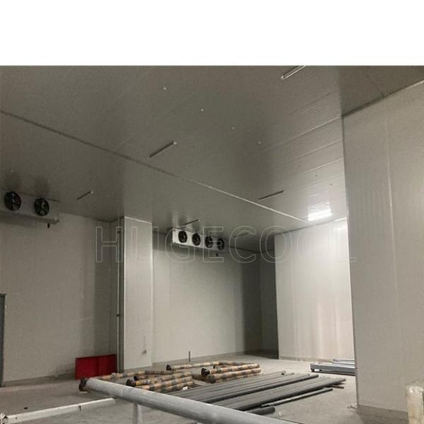 Stainless Steel Large Commercial Cold Storage Room Freezer Room