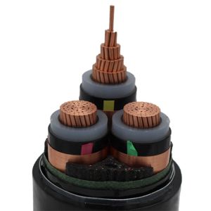 Xlpe Insulation Material 1core 2core 3core Electric Power Cable with CCC