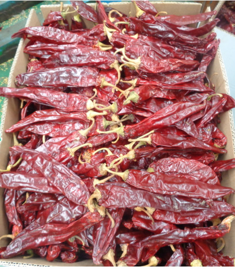 Red Dried Paprika Peppers Spice And Seasoning Powder For Food Ingredient Company