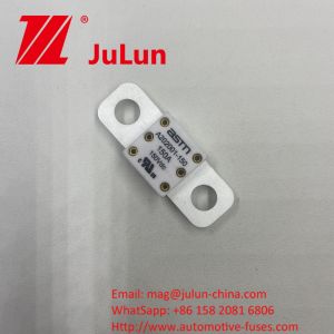 ASTM A202001 100A 150VDC Ceramic Automobile Fuses for Short Circuit Protection