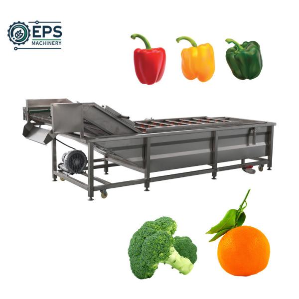 Large-Scale Operations Automatic Fruit Washing Machine for Customized Performanc