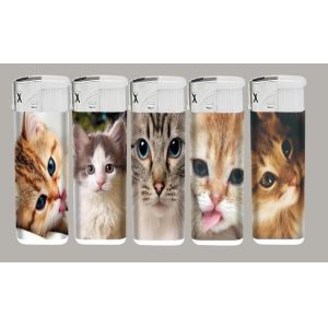 Plastic Refillable Flint Gas Lighter with Transparent Design and ISO9994