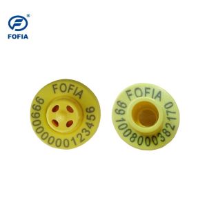 Practical Sheep Ear Tags for Streamlined Livestock Identification and Record