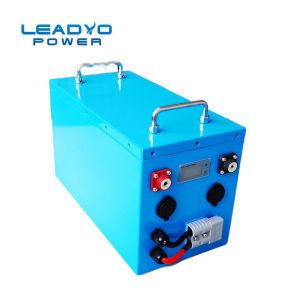 Deep Cycle Rechargeable 36V 50Ah Lifepo4 Golf Cart Battery With BMS And LCD