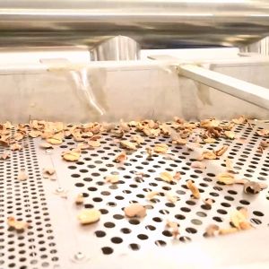 380V Dry Cracker Equipped Pecan Shelling Machine With 24000 Nuts Processing