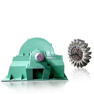 IP54 Rated Brushless Pelton Turbine Generator F Insulation Class 6-10kV Rated