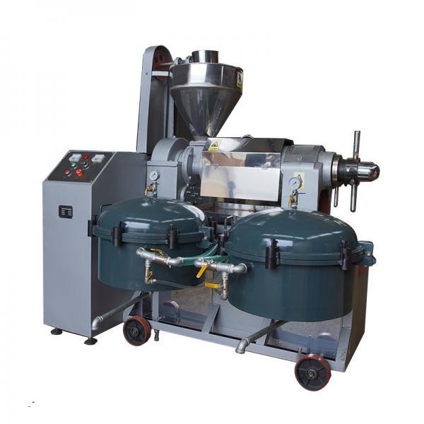Quality Environmental Friendly Automatic Oil Press Machine Adjustable Screw Speed wholesale