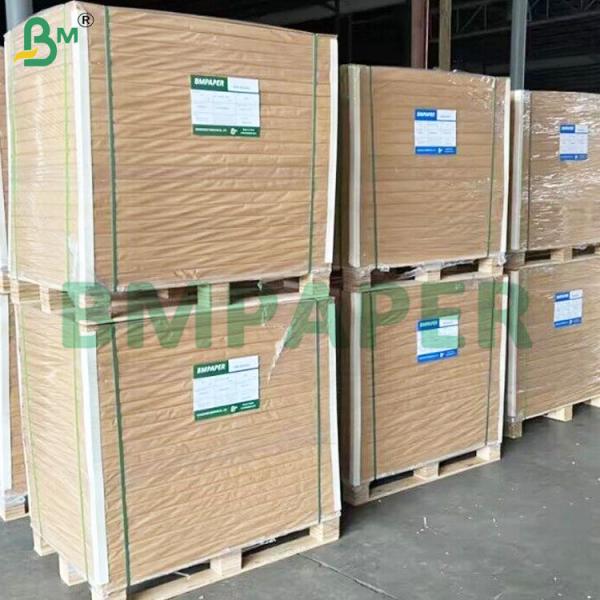 Double Side PE Coated Brown Cup Base Paper Rolls 190+10gsm Double Side PE Coated Brown Cup Base Paper Rolls 190+10gsm