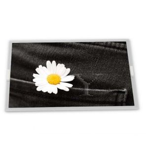 Cheap 5.7-Inch WLED TFT OLED Display Module TX14D23VM5BPA 640*480 Resolution Specific Application LCD Modules ODM Supplier for sale