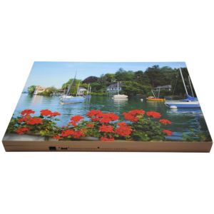 Directional Hidden Cellphone Jammer With Picturer Cover and Inner Antenna