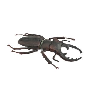 Cheap Insect Figures Model Toy Sorbus Serrata Figurines Party Favors Supplies Cake Toppers Decoration Set Toys for sale