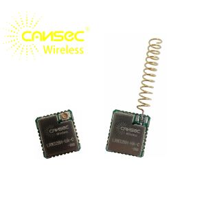 Small Size Lora Communication Module Cansec LRW32BH-HA/UA-C ST-STM32WLE Lorawan