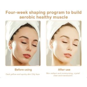 Handheld Oxygen Injector 8W Oxygen Facial Nano Mist Sprayer Mister Device