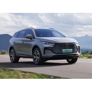 Bluetooth Connectivity Infotainment System Electric Vehicle Car with Seating Capacity of 5