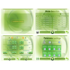 Best fat freeze weight loss Cryolipolysis Slimming Machine two handle device for