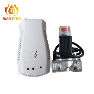 European Plug Domestic Gas Detector Smart Alarm With Gas Electromeganetic Valve
