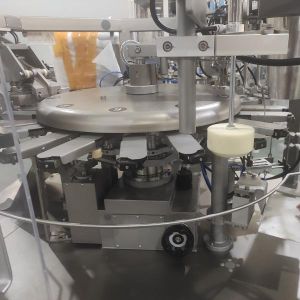 WG210 Automatic Doypack Packaging Machine for Various Bag Types