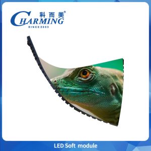 4k P2.5 P3 P3.076 P4 Led Module Pre Maintenance Led Modules For Advertising