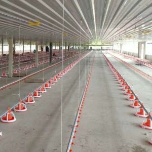 Electrical Environmentally Controlled Poultry House