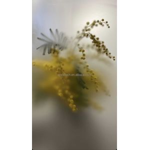 QJY20240308-01 Edge Frosted Glass for Hotel Shower Enclosure Partition