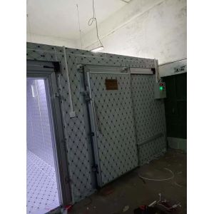 Custom Cold Storage Room For Fish And Meat Freezing With Automatic Control